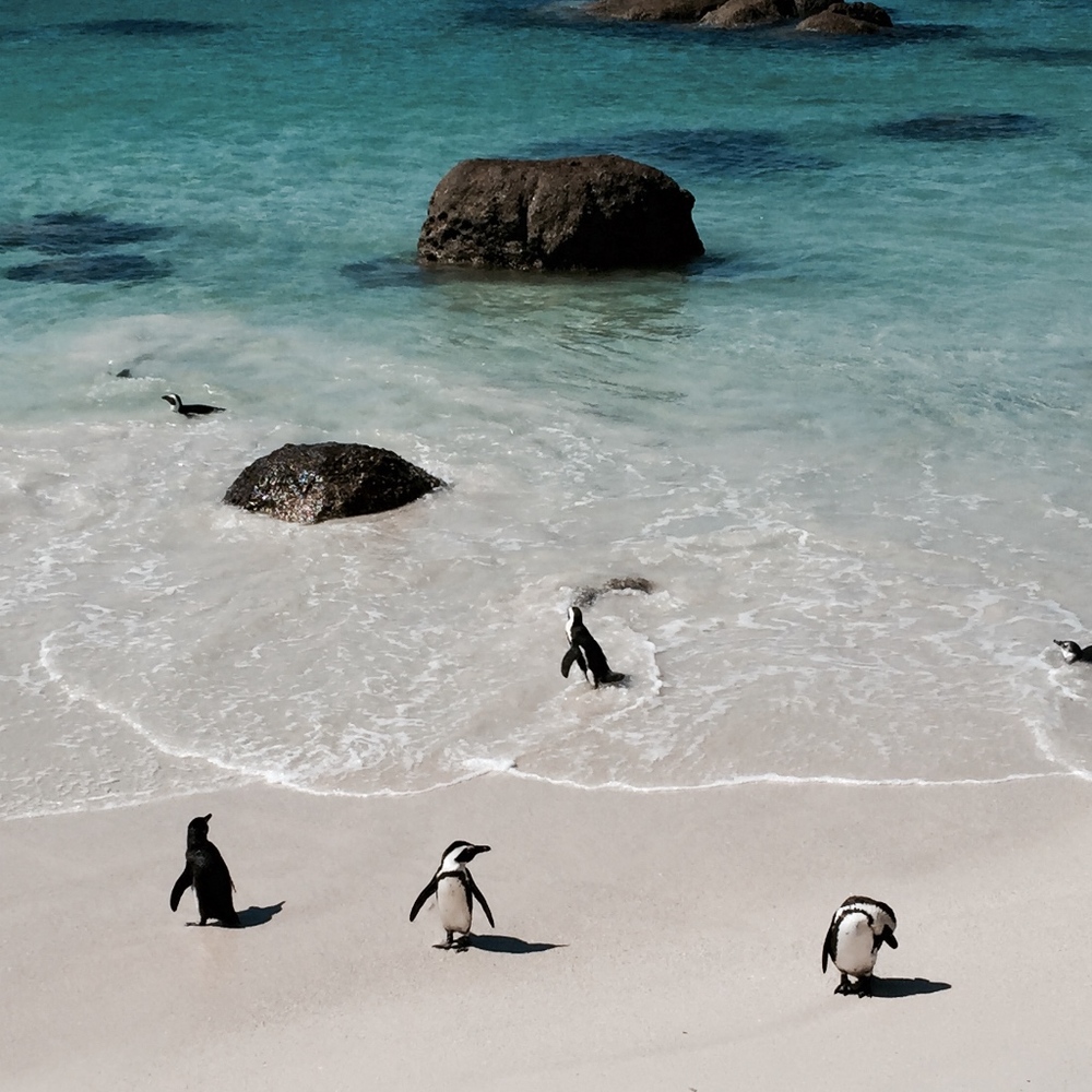 Meet your Posher, EM